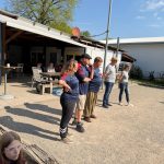 Wiesloch, Boule, Liga